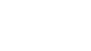 GoSafe White Logo